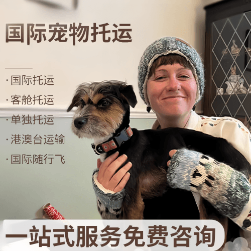 漳州市国际宠物托运到阿根廷宠物入境规定和要