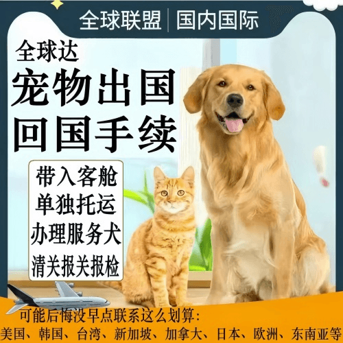 漳州市宠物托运到柬埔寨宠物入境规定和要求
