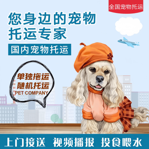 满财漳州市宠物全球达宠物托运作为专业的宠物运输代理机构